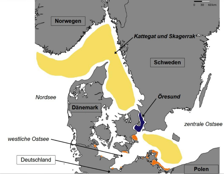 Karte der Ostsee mit Ländern und Meeresgebieten